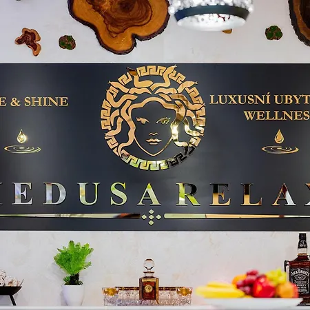 Wellness Medusa Апартаменты Гамр-на-Езерже